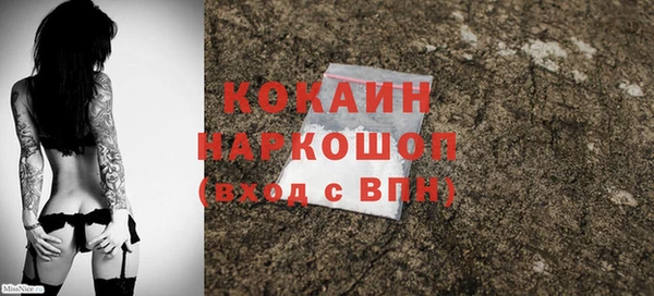 мдпв Пестово