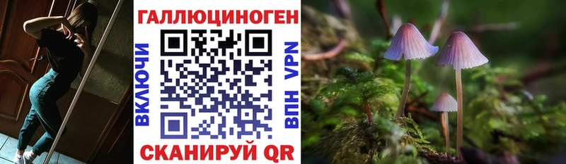 Псилоцибиновые грибы мухоморы  кракен вход  Себеж 